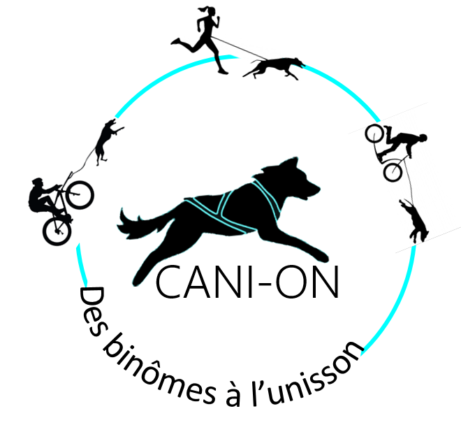 Cani-On 82
